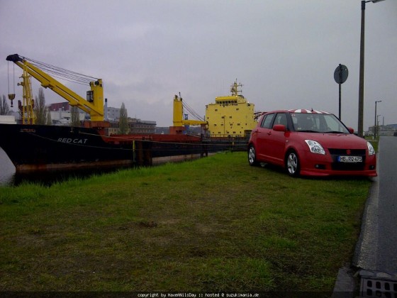 Red Cat in Bremen (Kap-Horn-Str.)