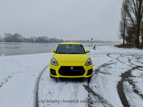 Gelbe Ente im Schnee