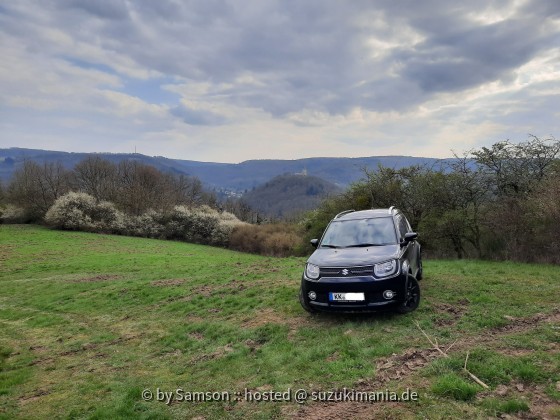 Ignis im Westerwald II