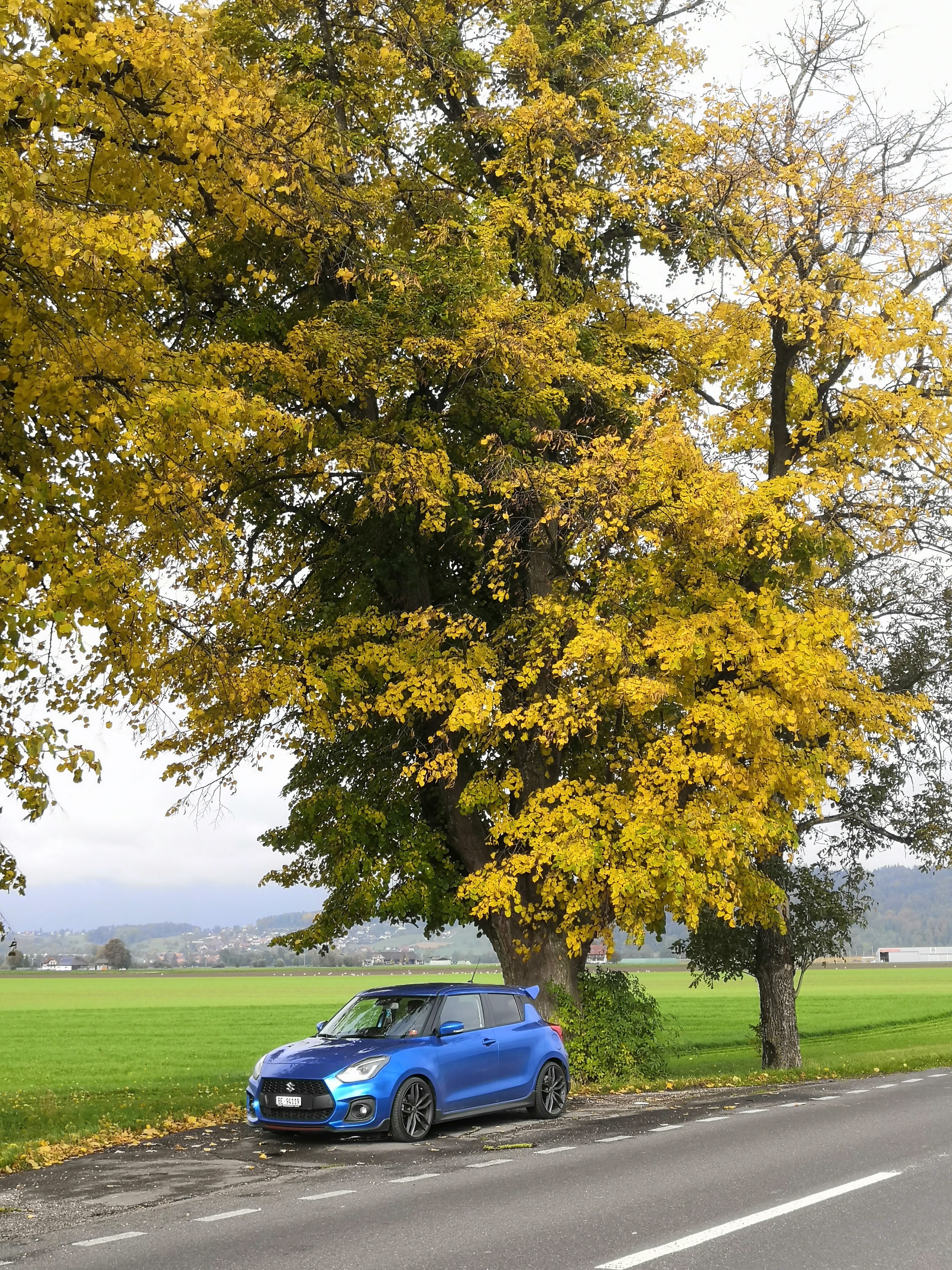 Herbstausfahrt