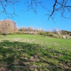 Ignis im Westerwald