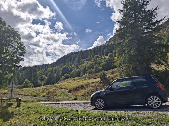 Swift bei Lac d'Estenc D2202